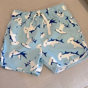 Hanna Andersson Toddler Boy Swim Trunk